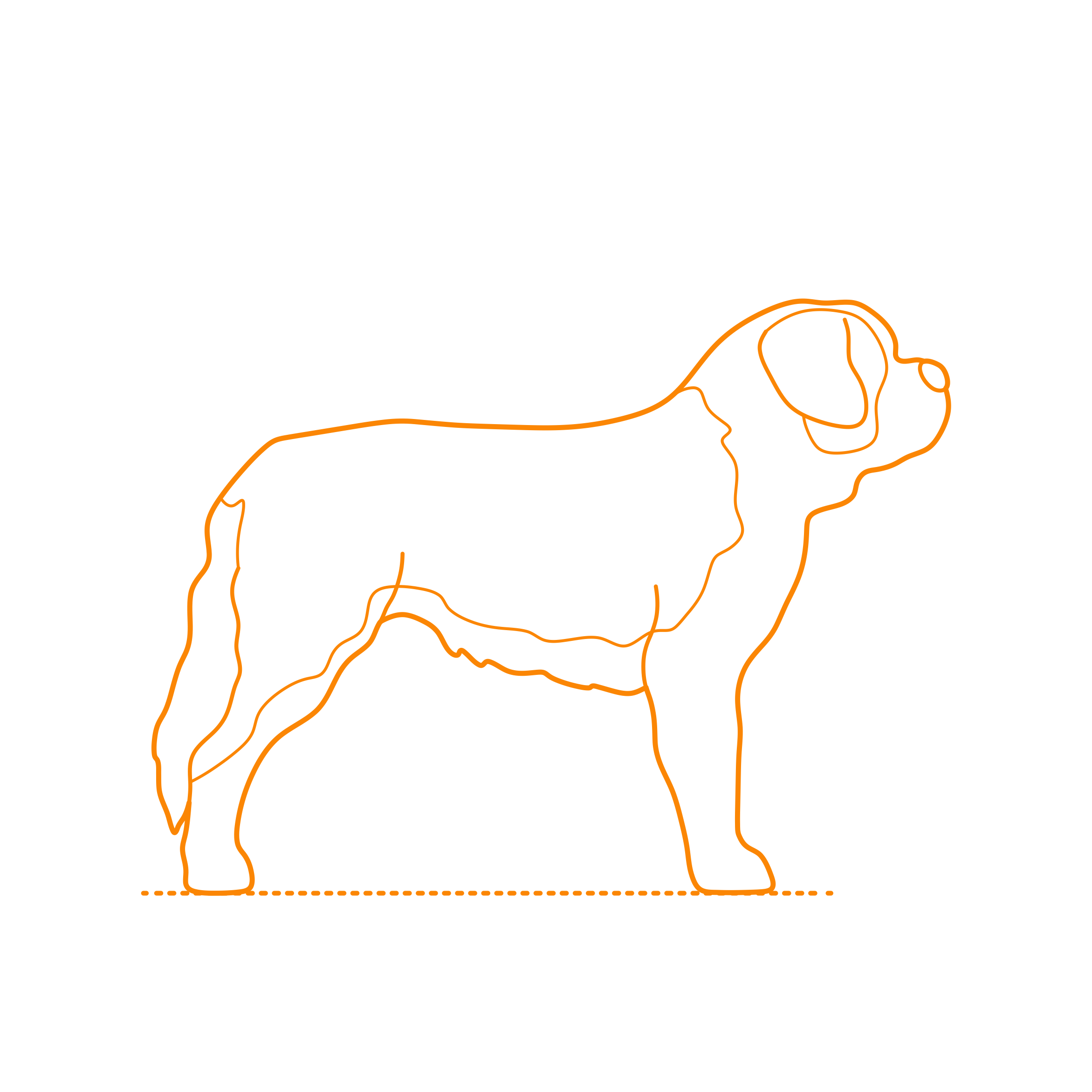 Animals Dogs Saint Bernard Contour Svg Vector Free Vectors